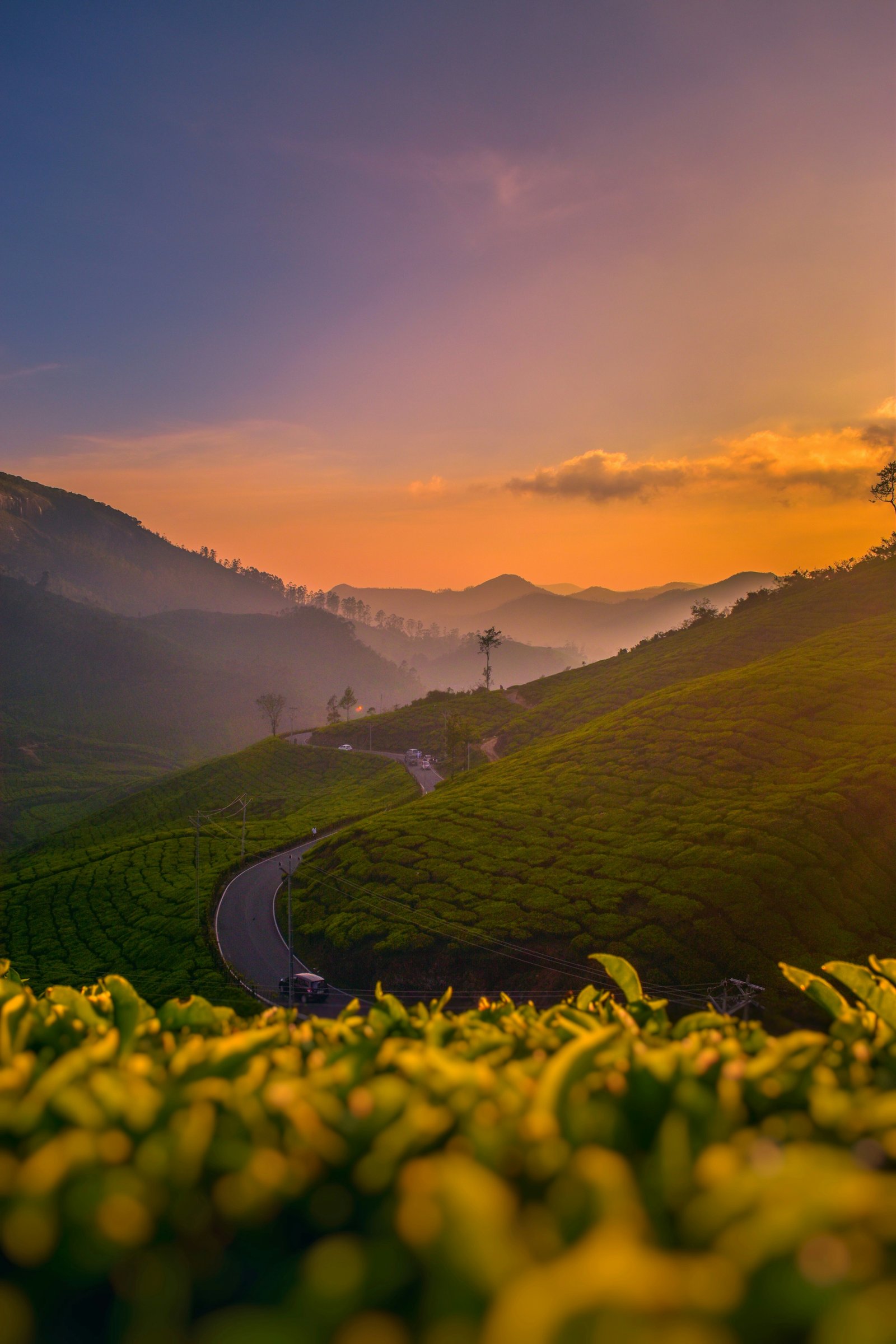 Kerala Delight